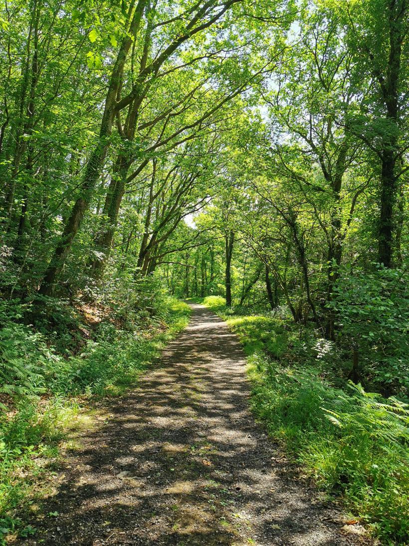 Tircoed Forest Village